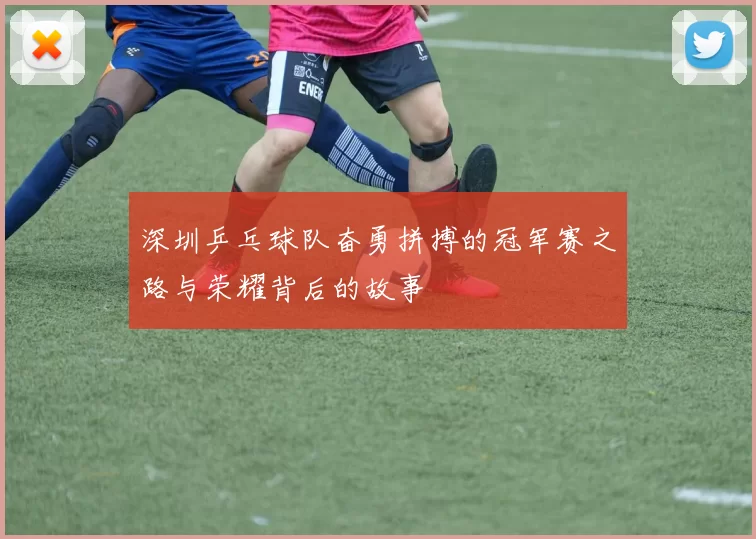 深圳乒乓球队奋勇拼搏的冠军赛之路与荣耀背后的故事
