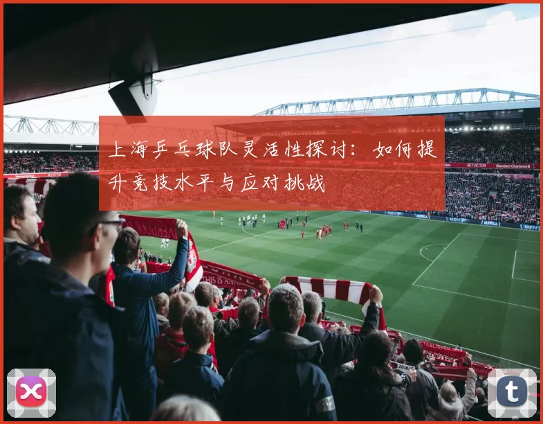 上海乒乓球队灵活性探讨：如何提升竞技水平与应对挑战