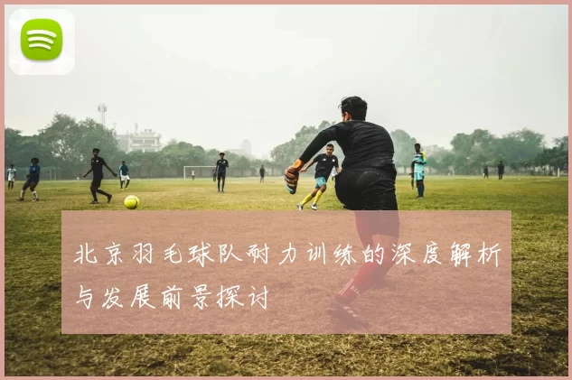 北京羽毛球队耐力训练的深度解析与发展前景探讨