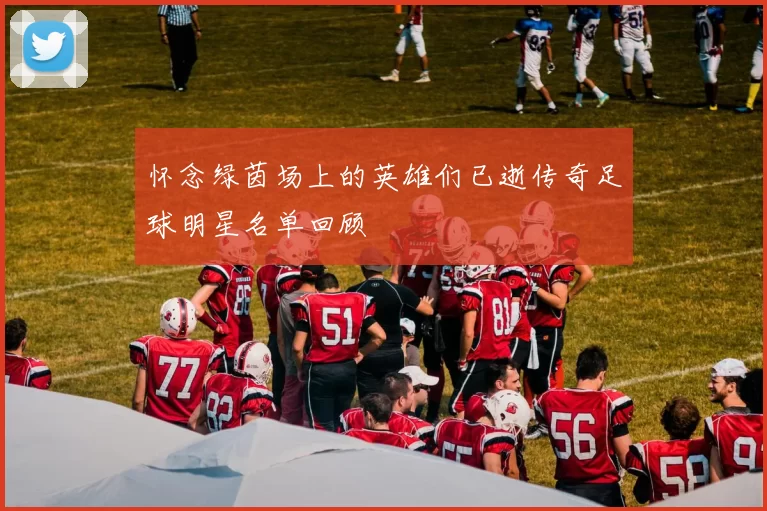 怀念绿茵场上的英雄们已逝传奇足球明星名单回顾
