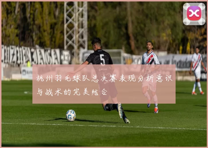 杭州羽毛球队总决赛表现分析意识与战术的完美结合