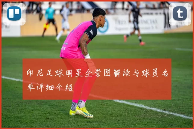 印尼足球明星全景图解读与球员名单详细介绍