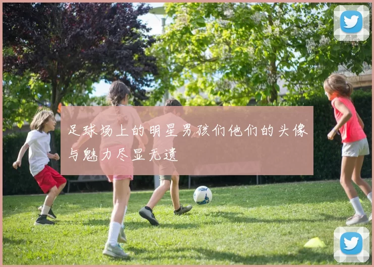 足球场上的明星男孩们他们的头像与魅力尽显无遗