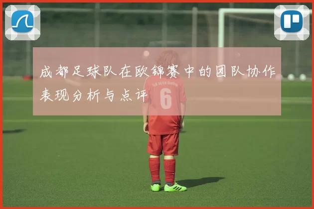 成都足球队在欧锦赛中的团队协作表现分析与点评