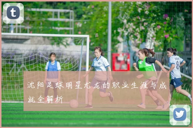 沈阳足球明星尤龙的职业生涯与成就全解析