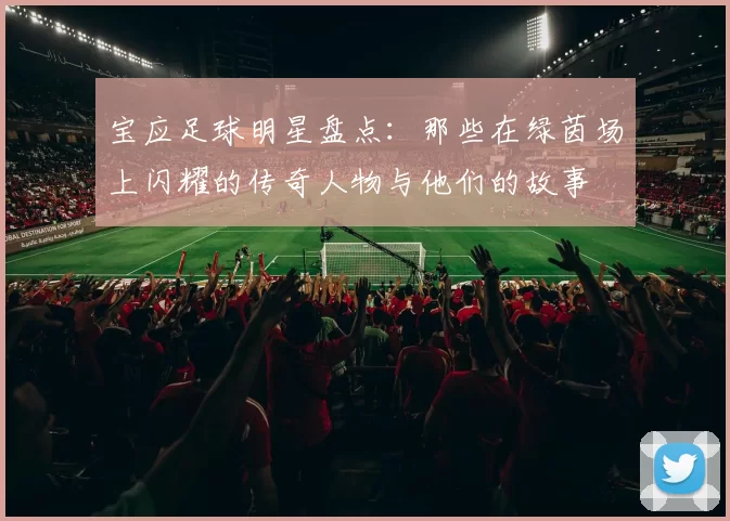 宝应足球明星盘点：那些在绿茵场上闪耀的传奇人物与他们的故事